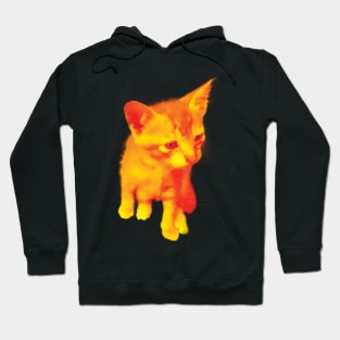 Meowww Hoodie